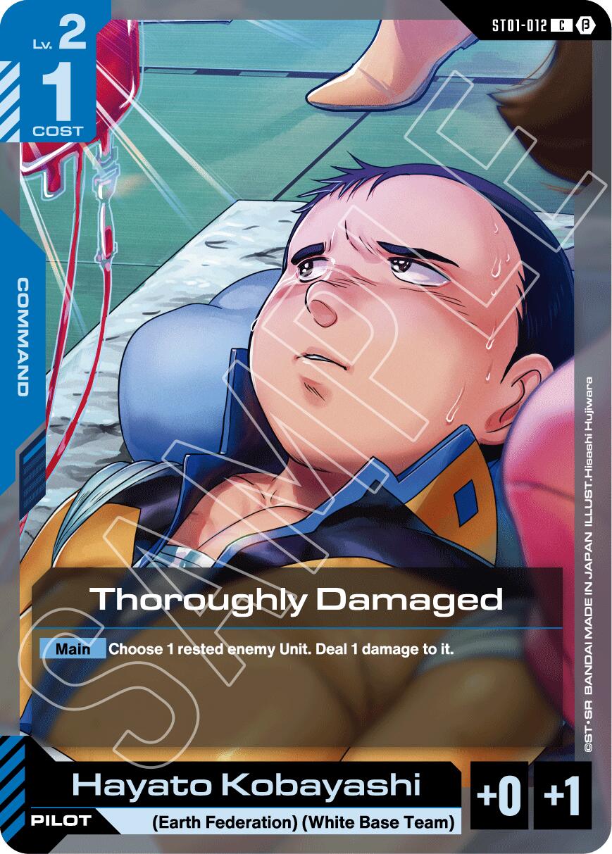 Thoroughly Damaged