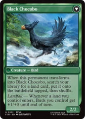 Sidequest: Raise a Chocobo (Back)