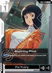 Aspiring Pilot