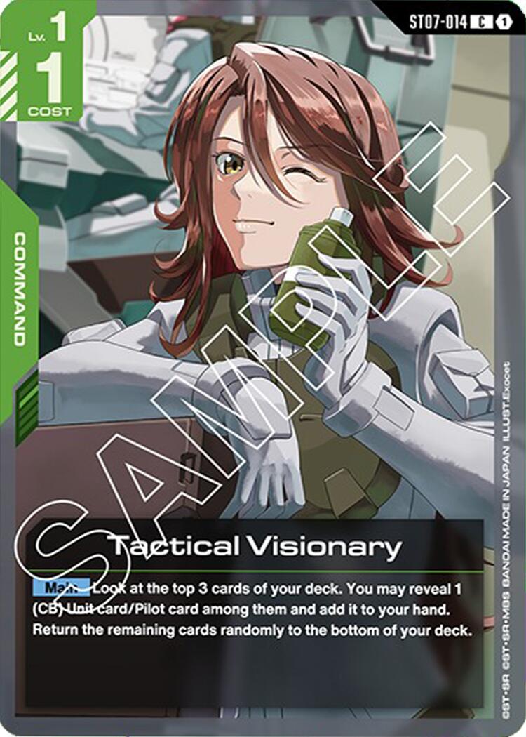 Tactical Visionary