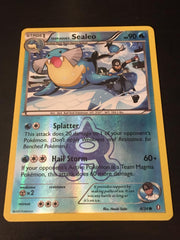 Team Aqua's Sealeo